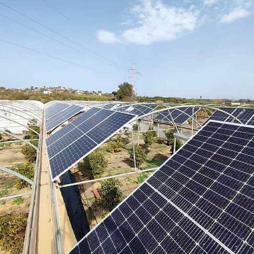 Instalación fotovoltaica con compensación de excedentes en vivero.